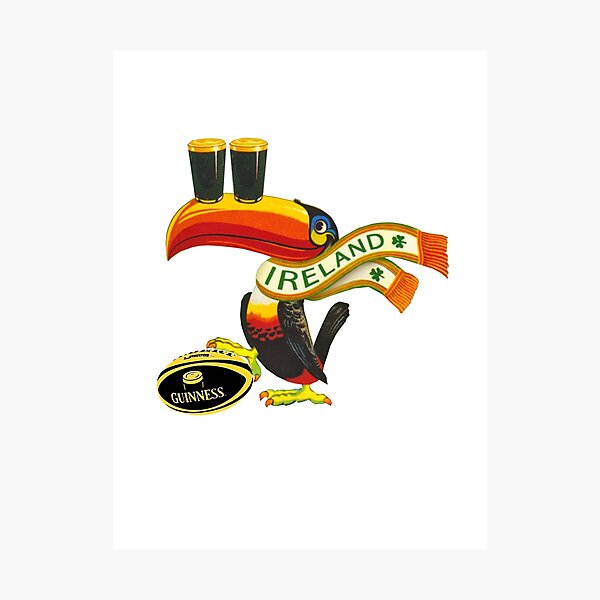 Ireland toucan Photographic Print