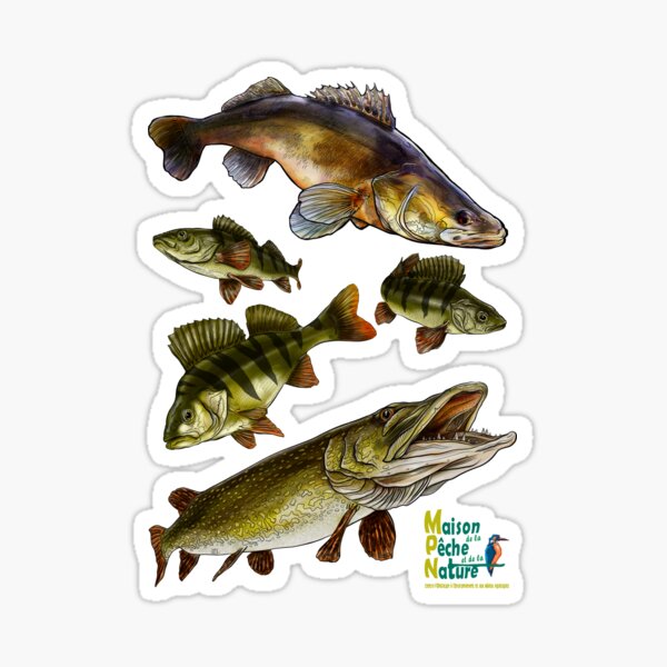 Gang de carnassiers Sticker
