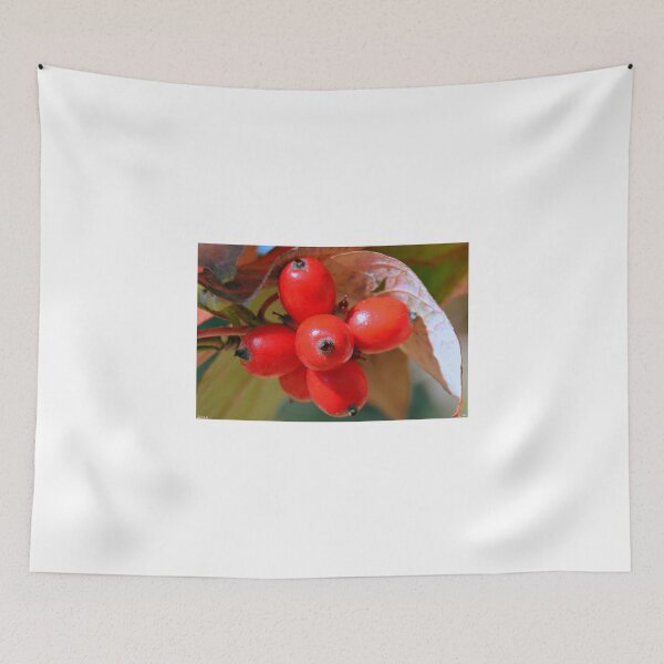 Item preview, Dogwood Berries designed and sold by LisaWootenPhoto.