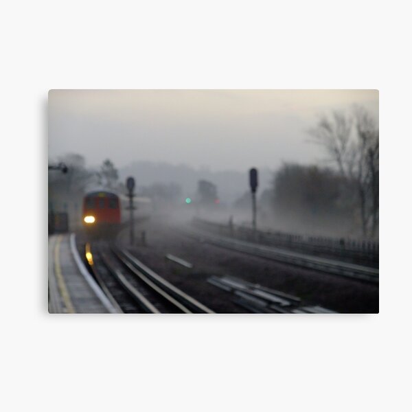 Foggy morning (Arrival) Canvas Print