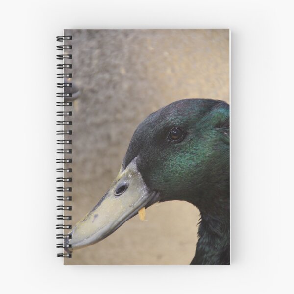 Artikelvorschau, Enten und Drakes entworfen und verkauft von Jaycee2009.