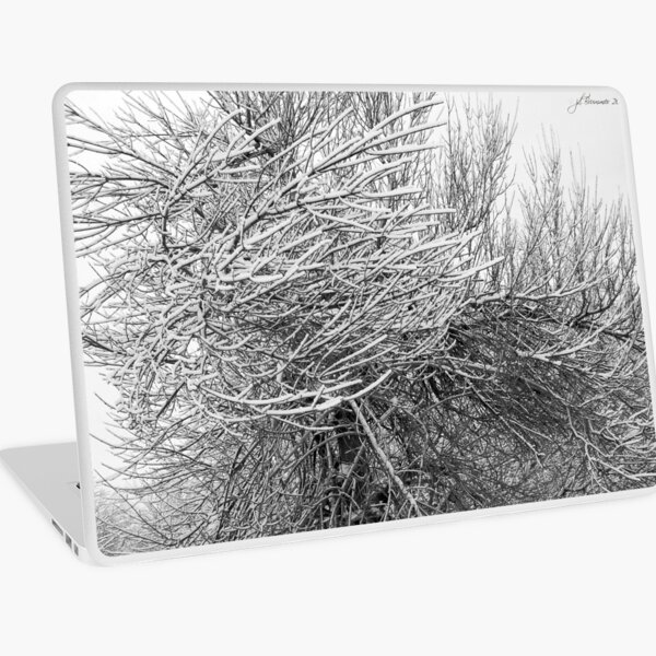 Force of Nature Laptop Skin