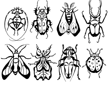 Artwork thumbnail, Insect Collection by ElfRenee