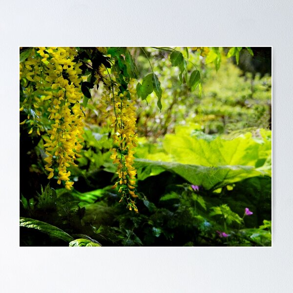 Item preview, Sunlit yellow ... designed and sold by Dominic Moriarty.