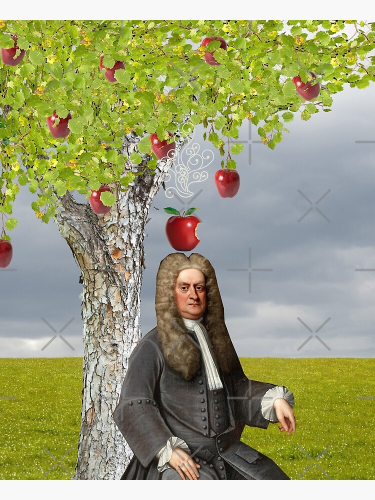 Isaac Newton Apple Tree Poster By Red Leaf Redbubble 0367