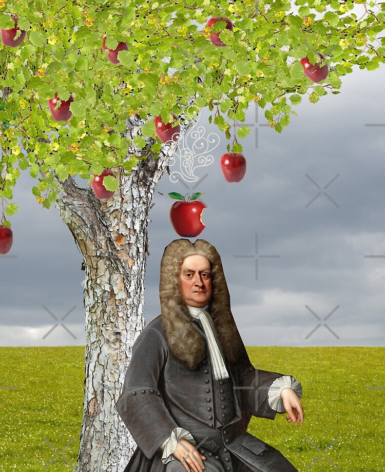 Newton tree