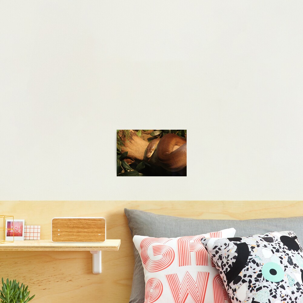 Item preview, Photographic Print designed and sold by SizzleTech.