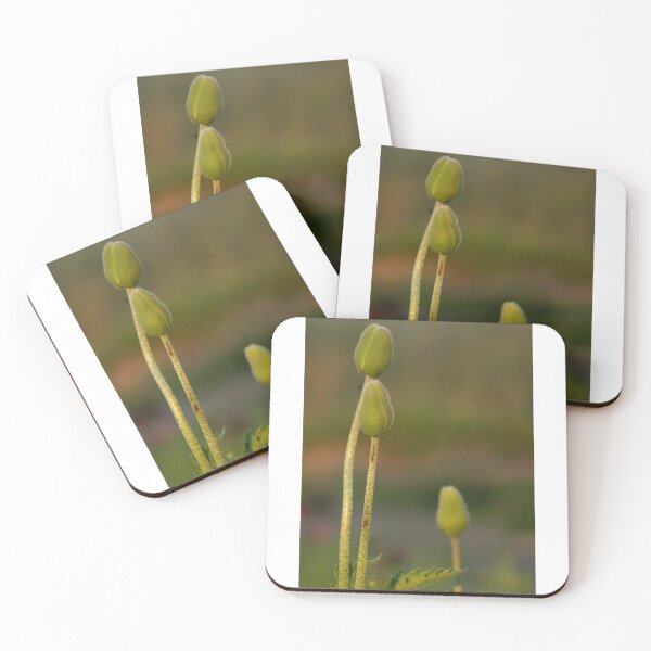 Item preview, Photograph of a Weird flower pod - WelshDesigns designed and sold by welshdesigns.