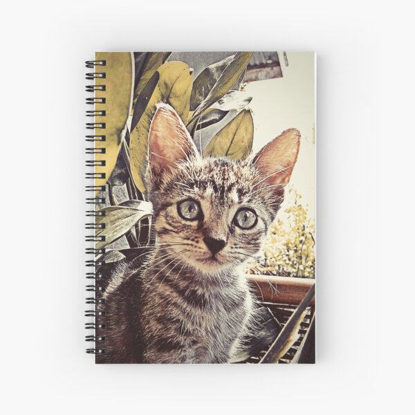 Item preview, Mouser. designed and sold by LAZY  J.