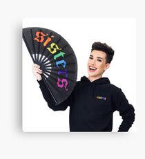 James Charles Rainbow Sisters Merch Leinwanddruck