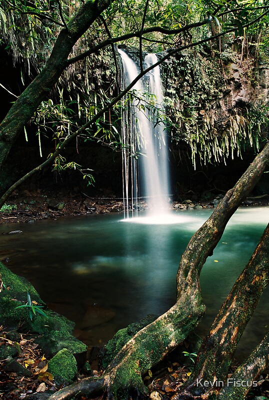 "Twin Falls, Maui" by Kevin Fiscus | Redbubble