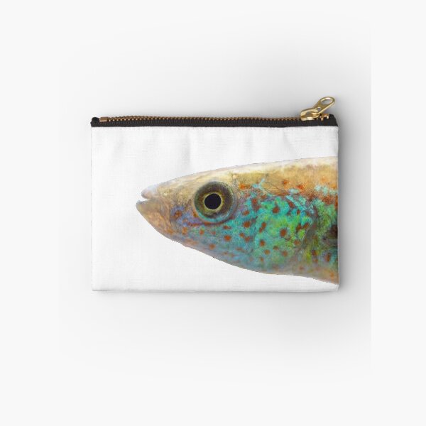 Item preview, Fundulus julisia - JLS designed and sold by killies.