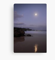 The Moonlit Sands Canvas Print