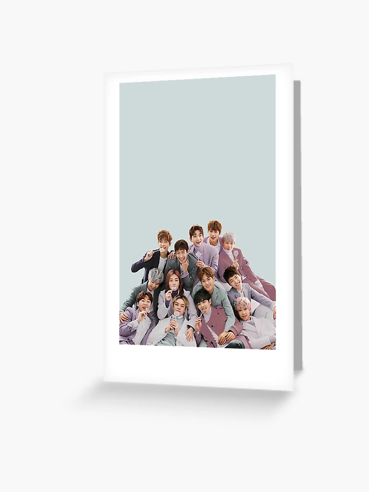 SEVENTEEN SHOPEE kpopmerch 113枚 Seventeen - Fan Guide: K-Pop Band, Journey To Stardom, 13 Members