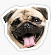 Just A Pug Sticker