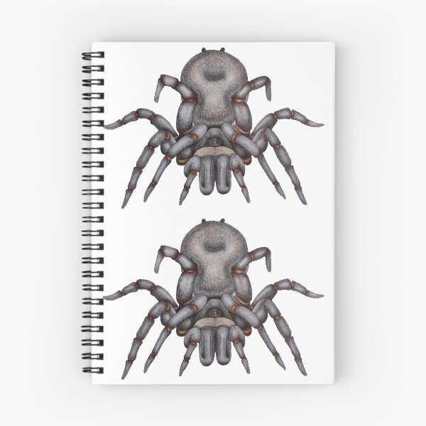 Item preview, Sydney funnel web spider aka Atrax robustus designed and sold by Mung Dahl.