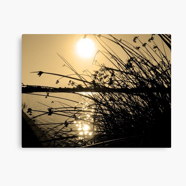 Golden California Canvas Print