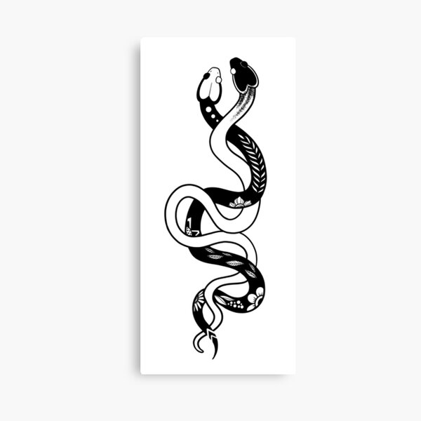 snakes Canvas Print