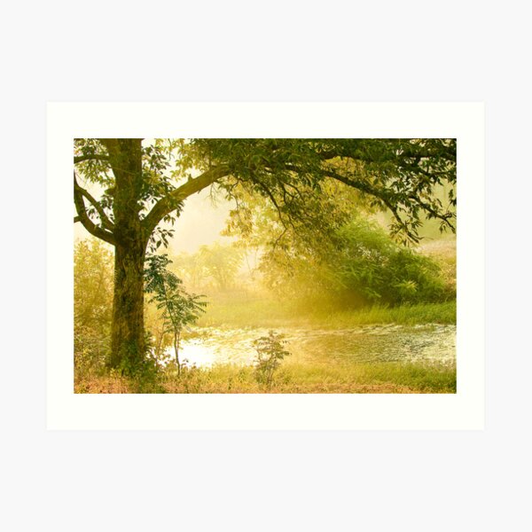 A Misty Morning Art Print