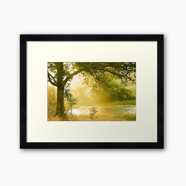 A Misty Morning Framed Art Print