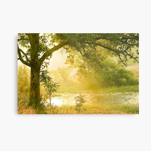 A Misty Morning Metal Print