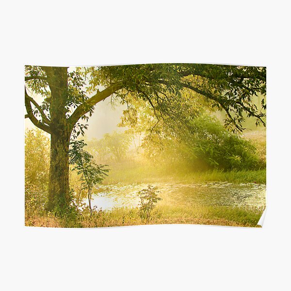 A Misty Morning Poster