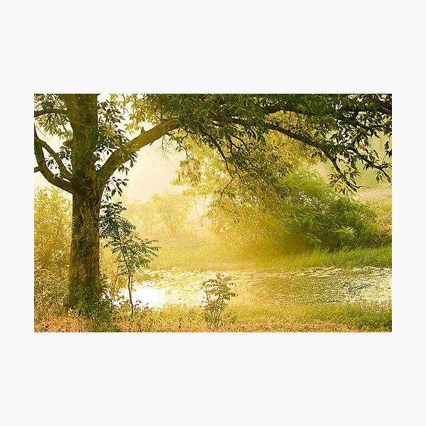 A Misty Morning Photographic Print