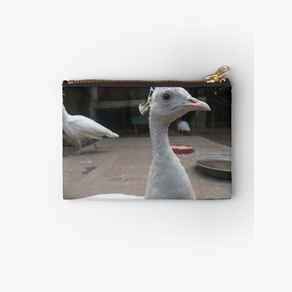 Item preview, Bird Century designed and sold by Harsh Contractor.