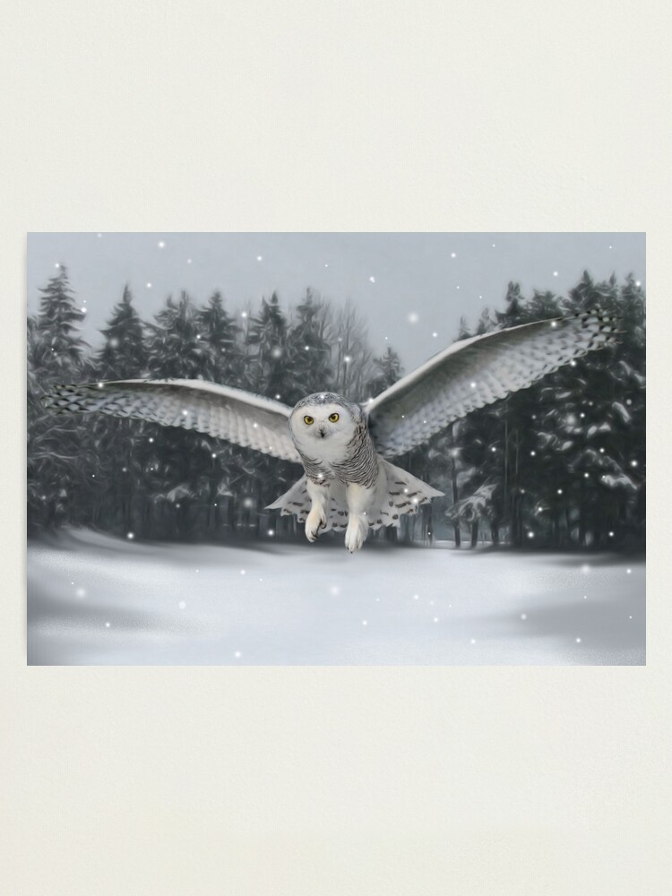 Alternate view of Take flight Photographic Print