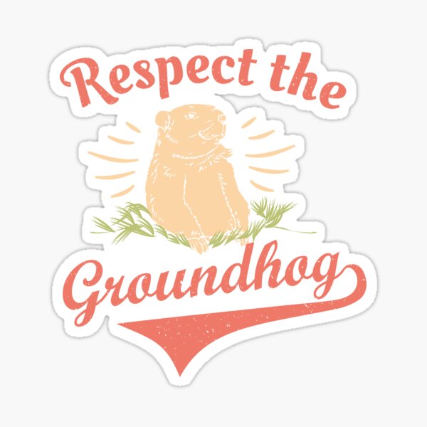 groundhog squishmallow