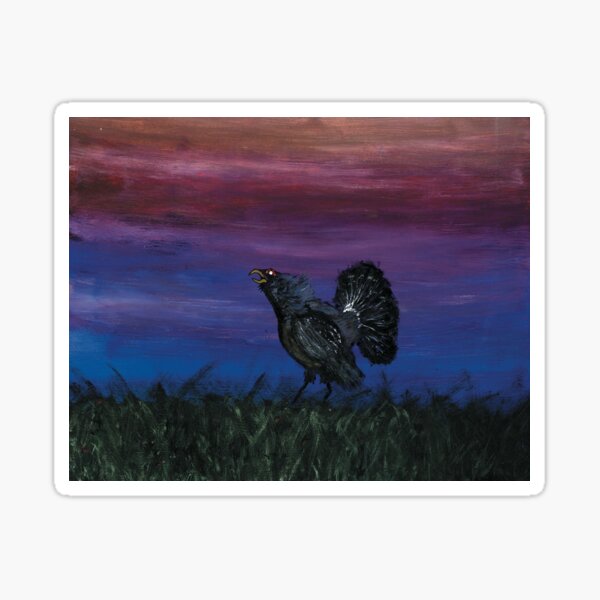 Western Capercaillie Bird Painting Sticker