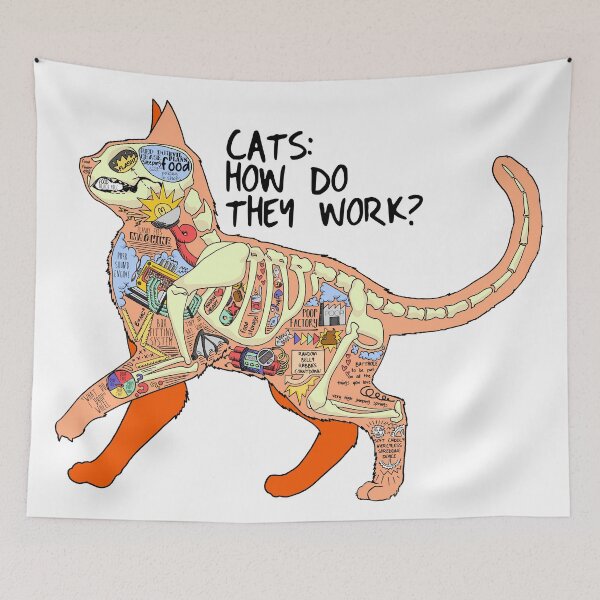 Item preview, Cat anatomy designed and sold by saetta.