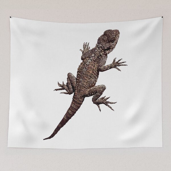 Item preview, Agama Lizard - Cyprus - On White Background by Amanda M Lucas designed and sold by Amanda Lucas.