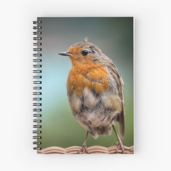 Item preview, Ragged Robin designed and sold by Viv Thompson Photography .