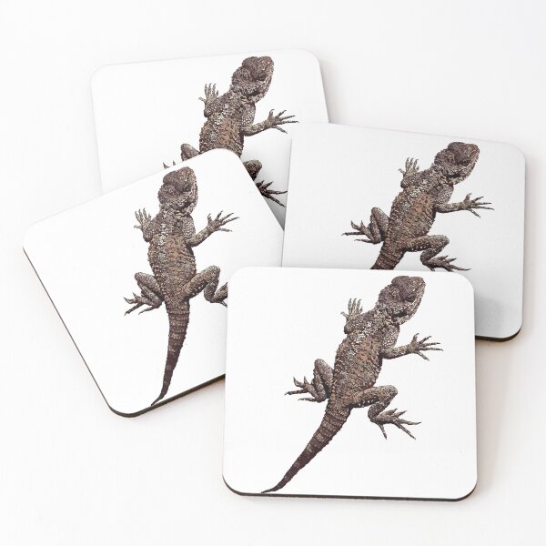 Item preview, Agama Lizard - Cyprus - On White Background by Amanda M Lucas designed and sold by Amanda Lucas.