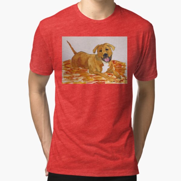 Mandy Tri-blend T-Shirt