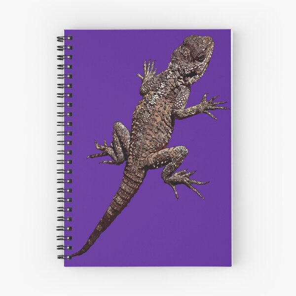 Item preview, Agama Lizard - Cyprus - Purple Background by Amanda M Lucas designed and sold by Amanda Lucas.