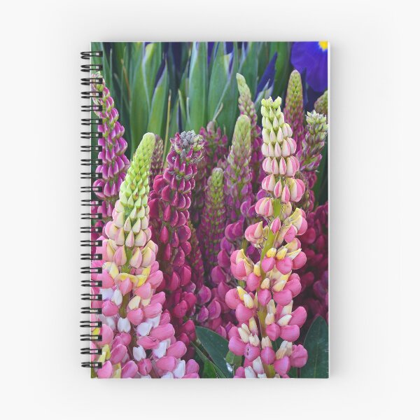 Item preview, Colorful lupine flowers designed and sold by perlphoto.