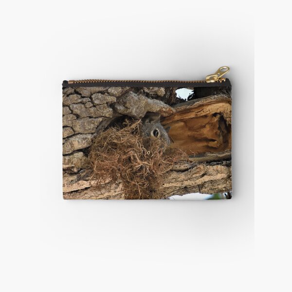 Item preview, Squirrel Condo designed and sold by Len Bomba.