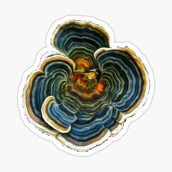 Item preview, Rainbow Polypore designed and sold by Nanotopia.