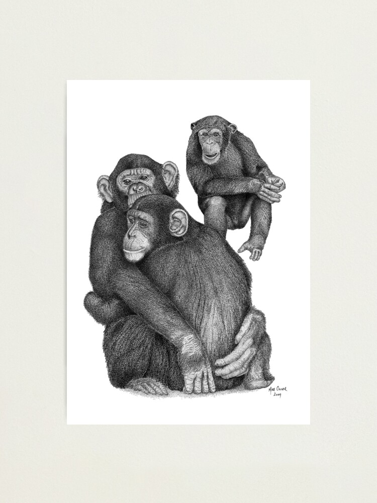 chimpanzee hand drawing