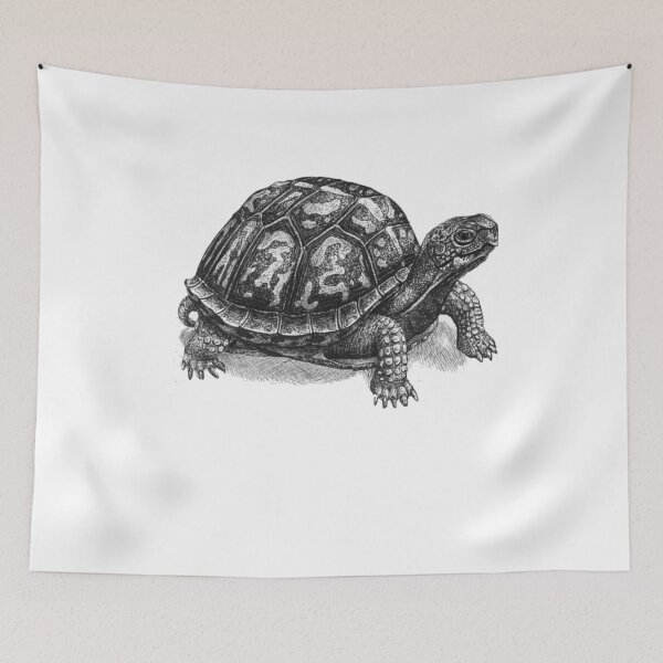 Item preview, Box Turtle - Cute Turtle - Turtle Drawing - Turtle Shirt - Box Turtle Shirt - Turtle Art designed and sold by Galvanized.