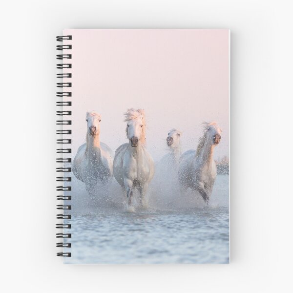 Item preview, Camargue horses galloping sunset designed and sold by apsmith68.