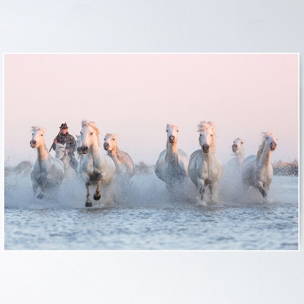 Item preview, Camargue horses galloping sunset designed and sold by apsmith68.