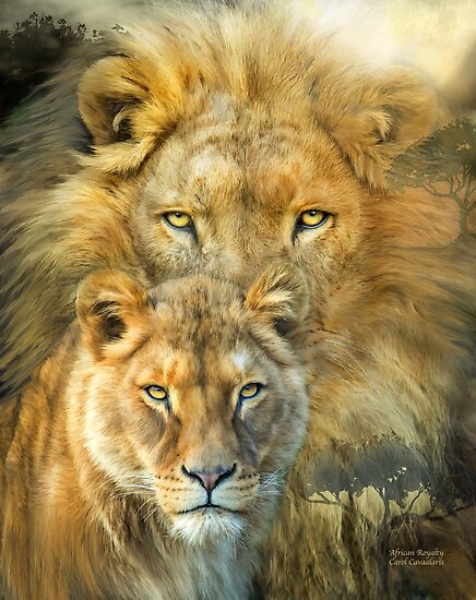 lion and lioness african royalty posters by carol cavalaris