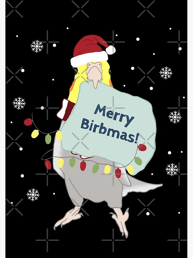 merry birbmas! - cockatiel doodle