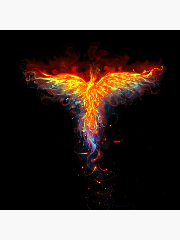 Phoenix by chriskar
