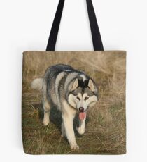 On the prowl Tote Bag