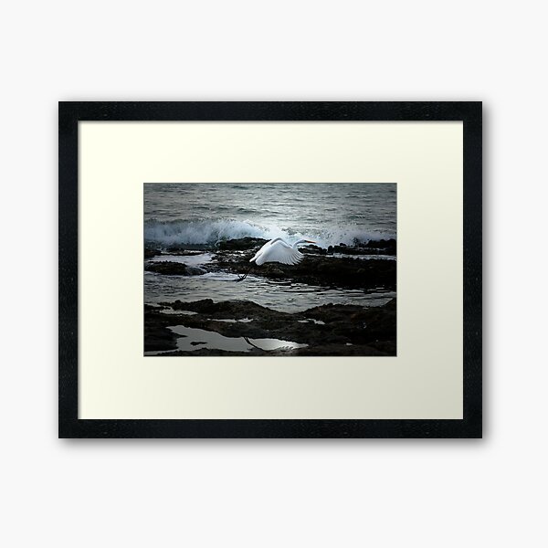 Untitled Framed Art Print