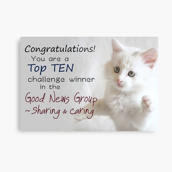 Top Ten Banner for the Good News Group ~Sharing and Caring Metal Print
